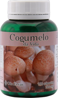 Cogumelo da Vida